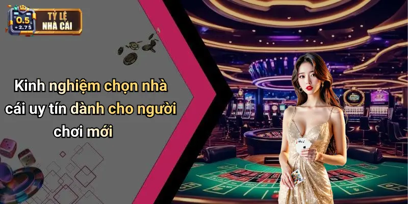 Kinh nghiệm chọn nhà cái uy tín dành cho người chơi mới