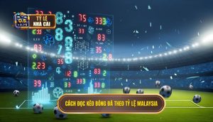 Cách đọc kèo bóng đá theo tỷ lệ Malaysia
