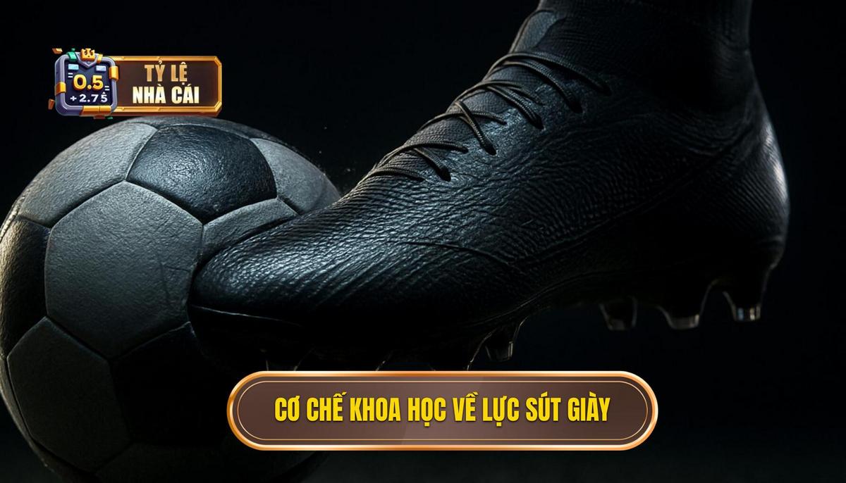 Cơ Chế Khoa Học Đằng Sau Lực Sút Bằng Mũi Giày