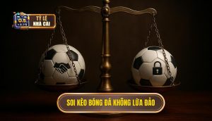 thumb - soi kèo bóng đá không lừa đảo