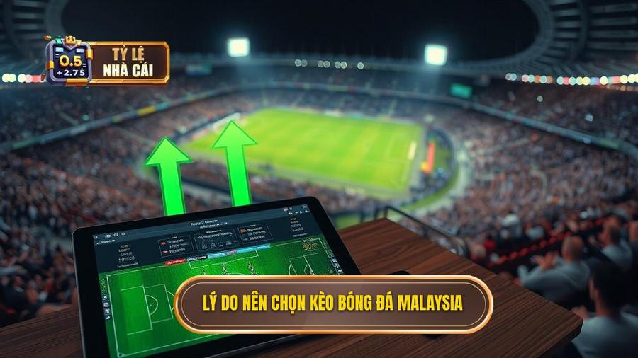 Lý do nên chọn kèo bóng đá Malaysia